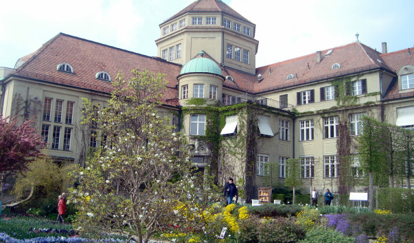 DSC09781