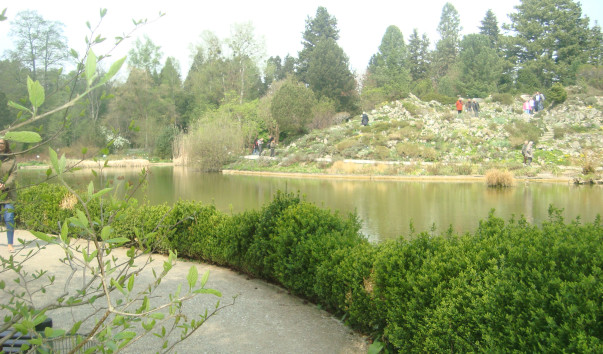 DSC09729