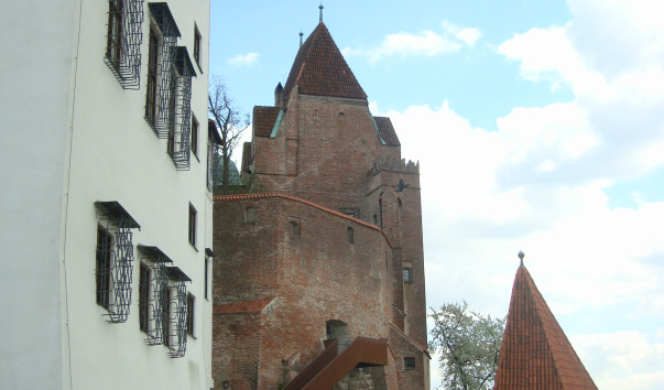 DSC09618