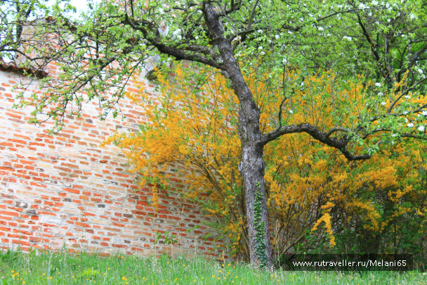 photo 714276