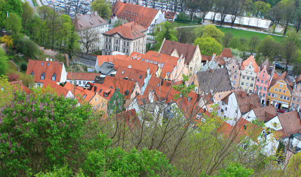 IMG_5603
