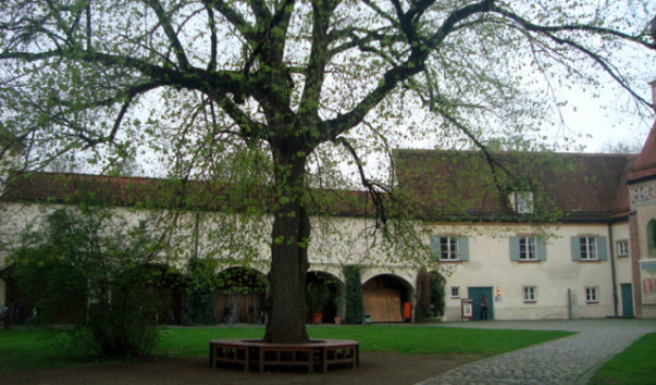 DSC09503