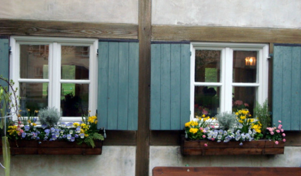 DSC09501