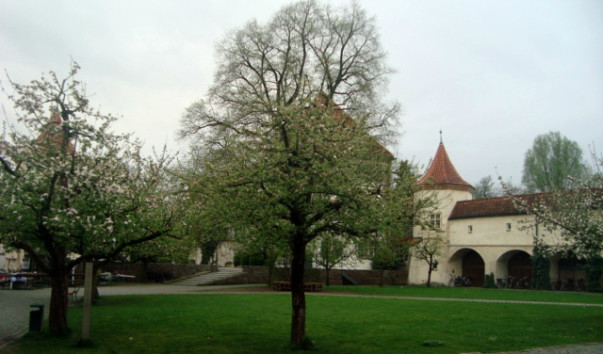 DSC09498