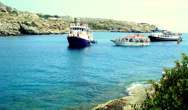 DSC00516