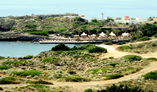DSC00485