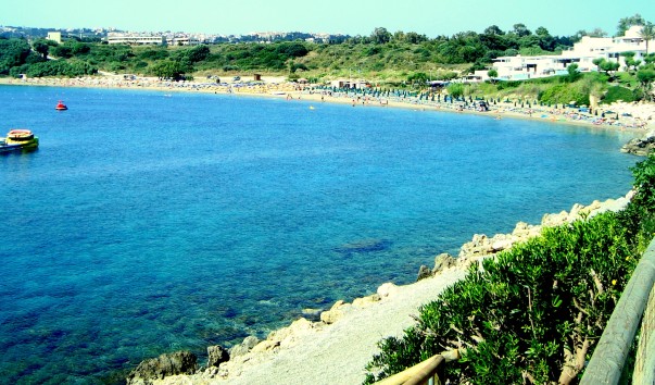 DSC00605