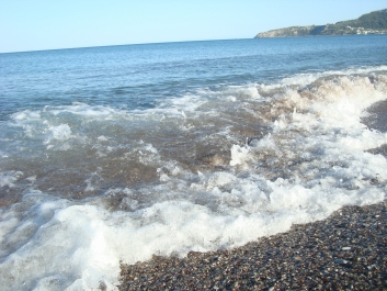 photo 762063