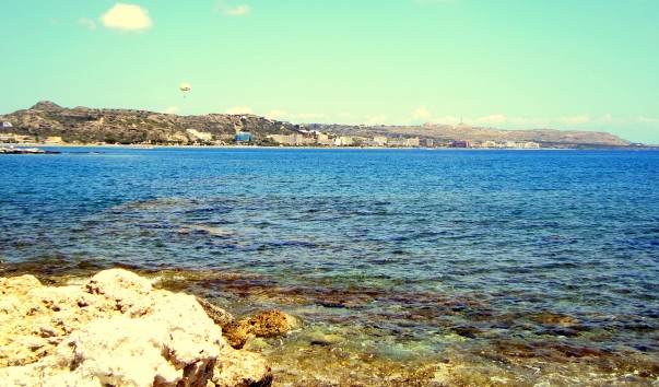 DSC00950