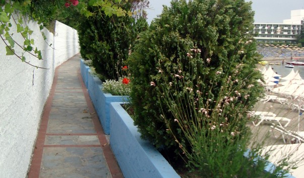 DSC00661