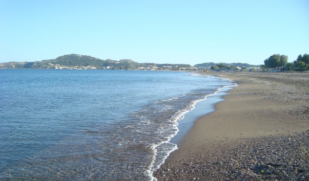 DSC01022