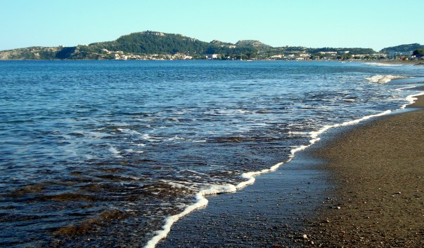 DSC01008