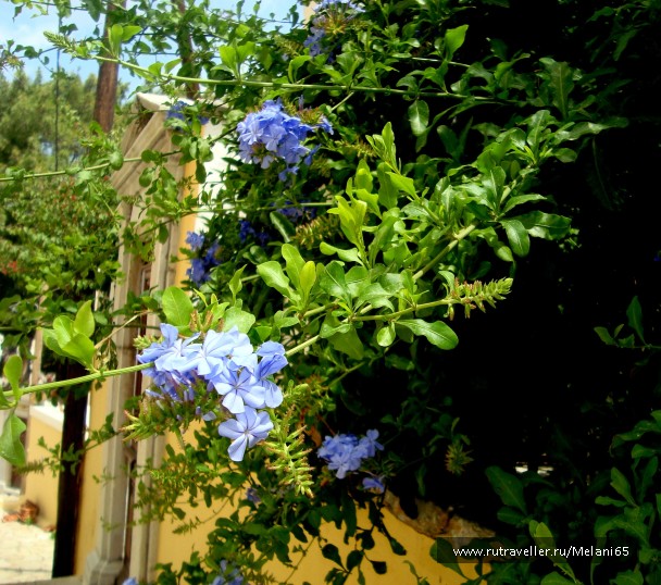 photo 766604