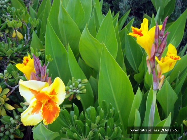 photo 768694