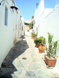 photo 772487