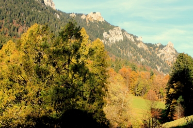 photo 911076