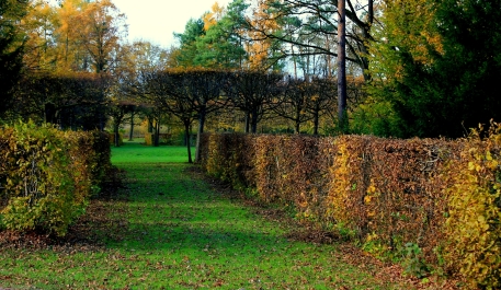 photo 920399