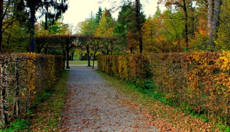 photo 922070