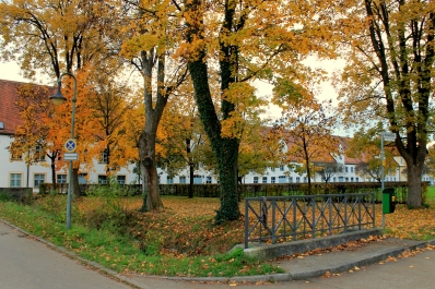 photo 924231