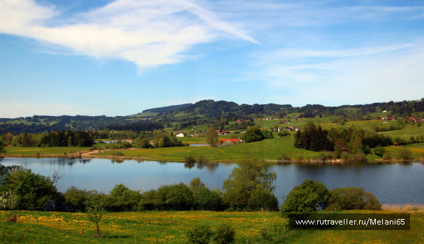 photo 1035314
