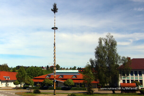 photo 1036967