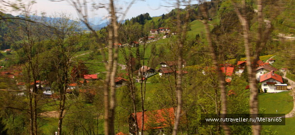 photo 1036969