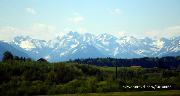 photo 1036976