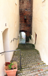 photo 1216202