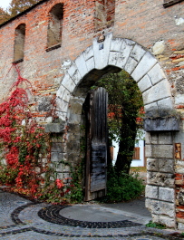 photo 1414632
