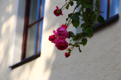 photo 1417061