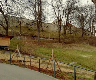 photo 1820664