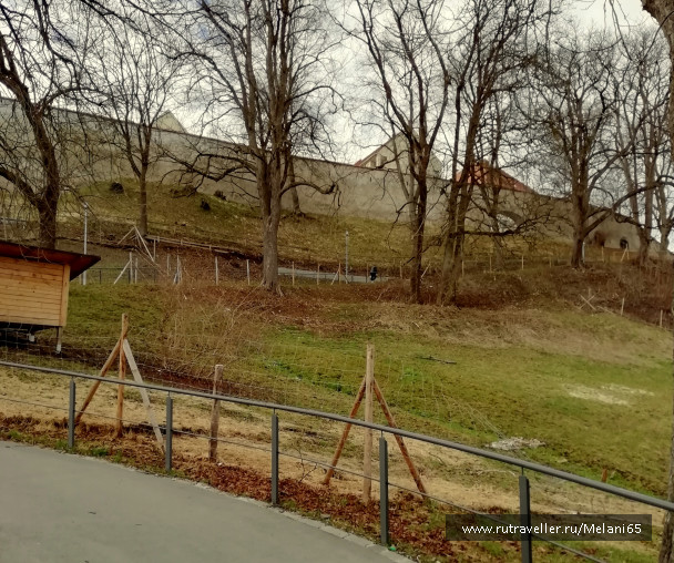 photo 1820664