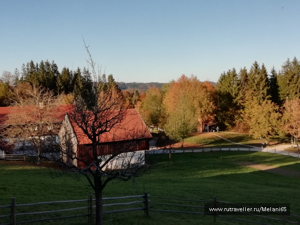 photo 1828408