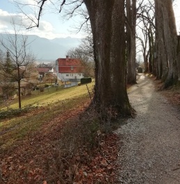 photo 1852628