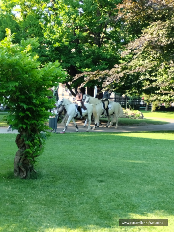 photo 2105293