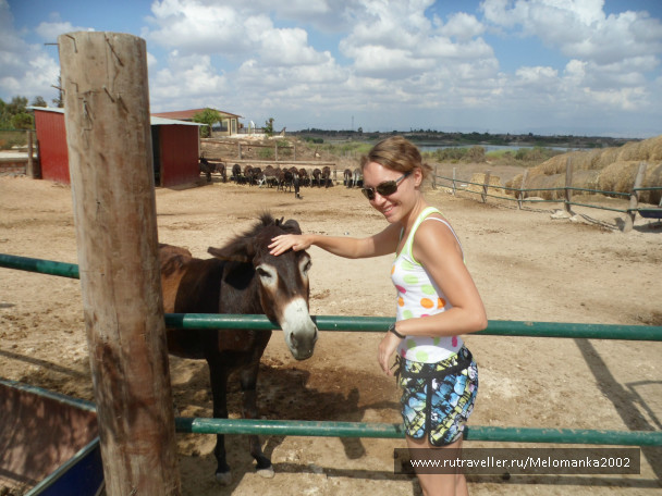 photo 507969
