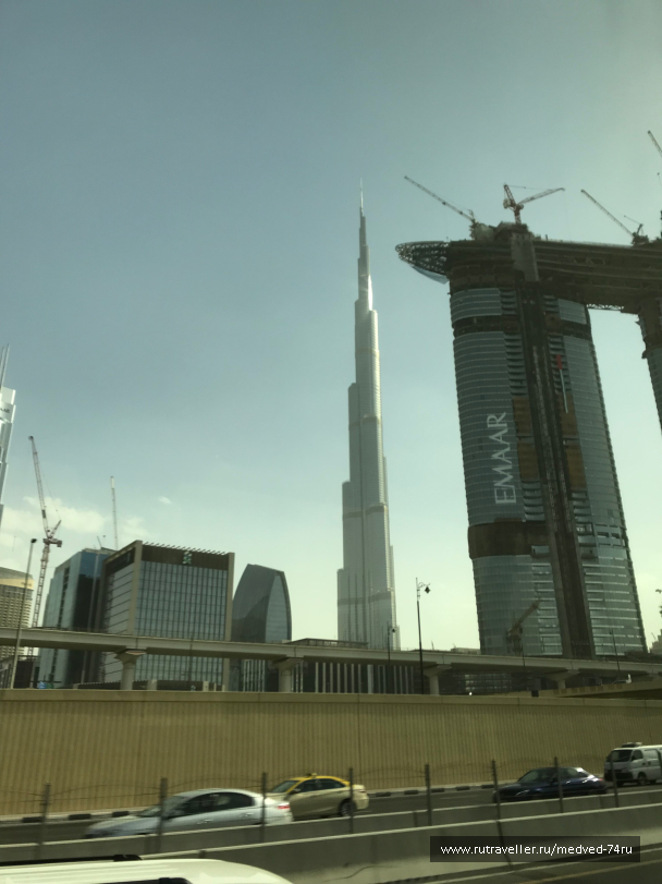photo 1604146