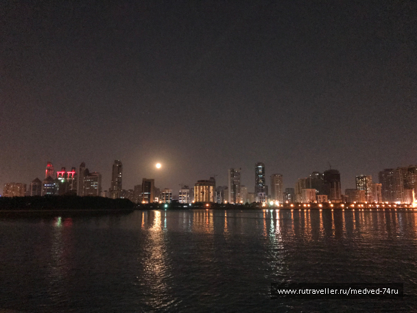 photo 1604155