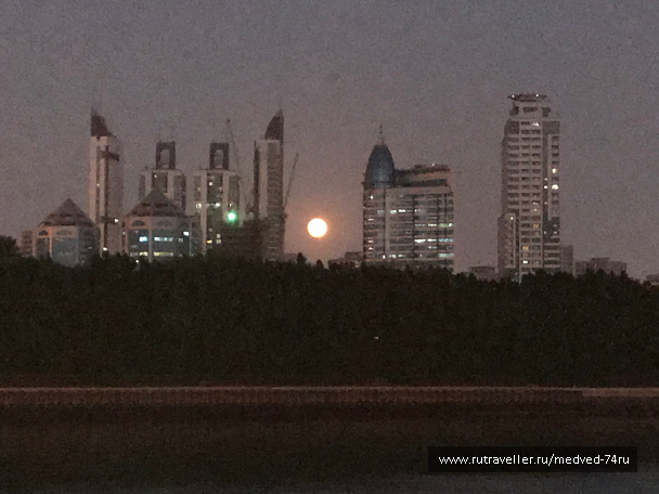 photo 1604160