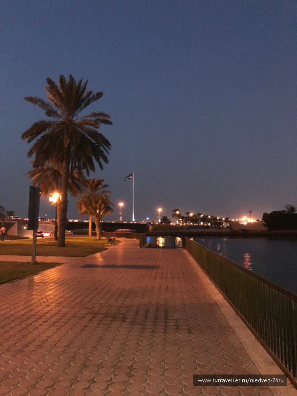 photo 1604162