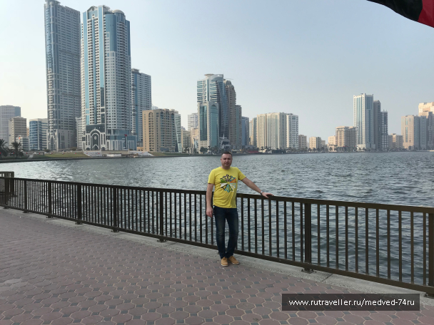 photo 1604164