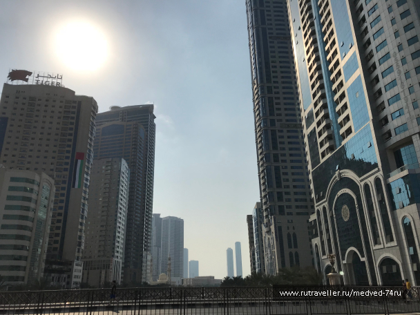 photo 1604166