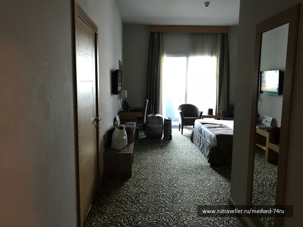 photo 1604178