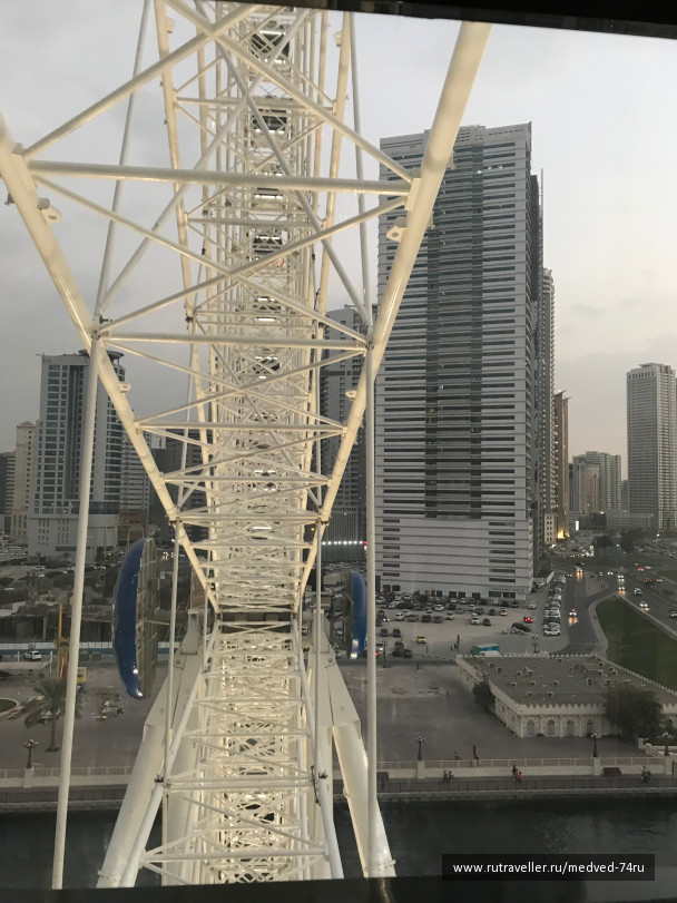 photo 1604202