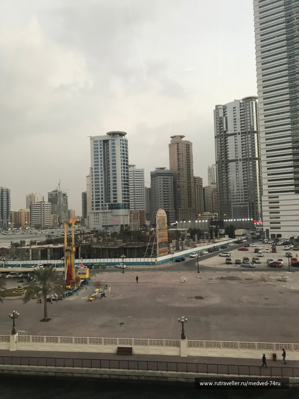 photo 1604206