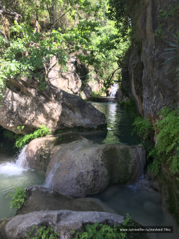 photo 1604236