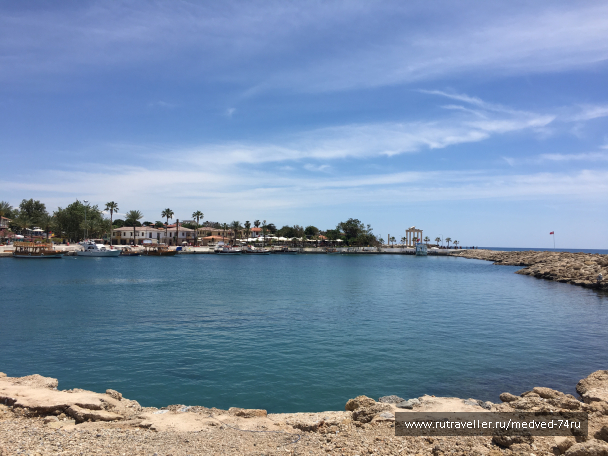 photo 1604240