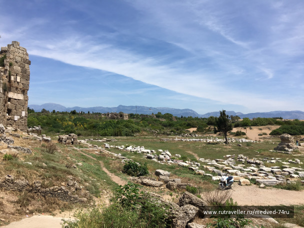 photo 1604259