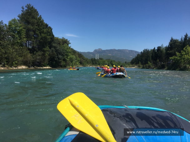 photo 1604268