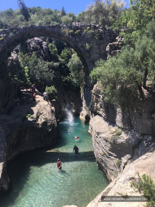 photo 1604272
